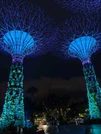 Gardens by the Bay Singapore