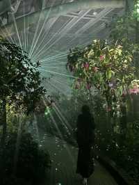 【京都】幻想的な光と音に包まれる植物園へ
