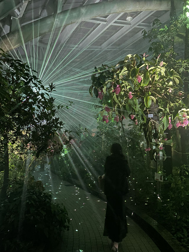 【京都】幻想的な光と音に包まれる植物園へ