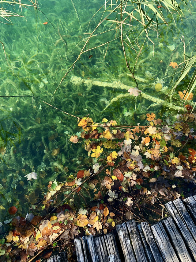 Chasing Waterfalls and Crystal Dreams in Plitvice