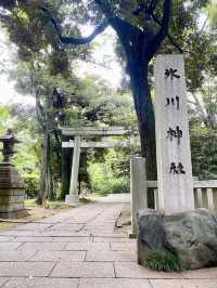 【東京都赤坂🇯🇵赤坂氷川神社】平安時代から続く神社