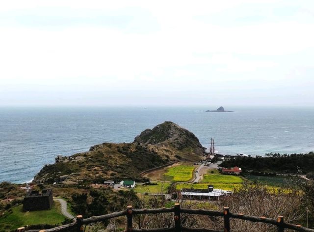 주말을 쪼개 떠난 1박 2일 제주 – 짧지만 꽉 찬 봄의 기록