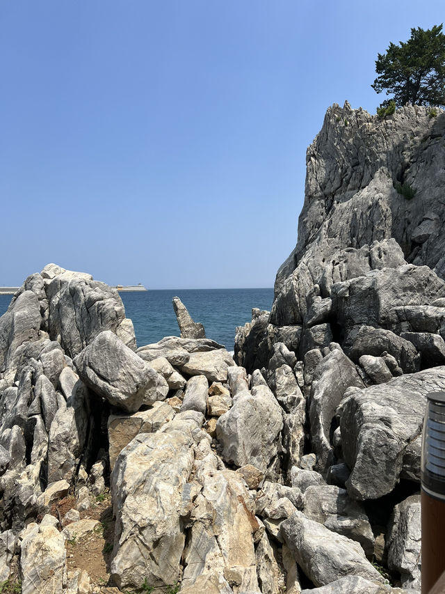 동해 추암해변과 묵호
