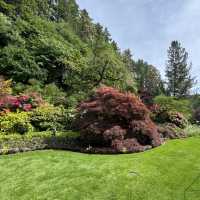 夏天必去的Butchart Garden