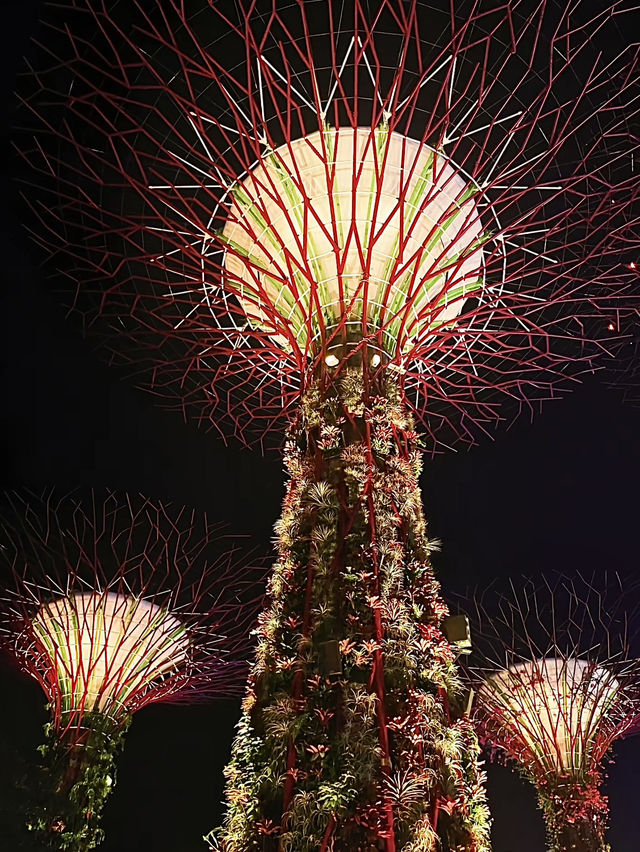 สิงคโปร์🇸🇬