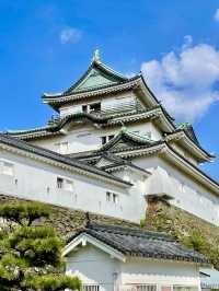 A Day Around Wakayama Castle 🏯📚