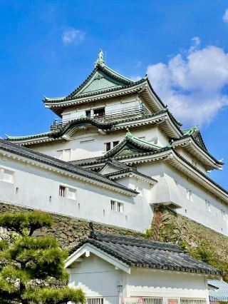 A Day Around Wakayama Castle 🏯📚