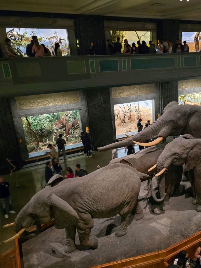 ตามรอยหนัง Night at the Meseum