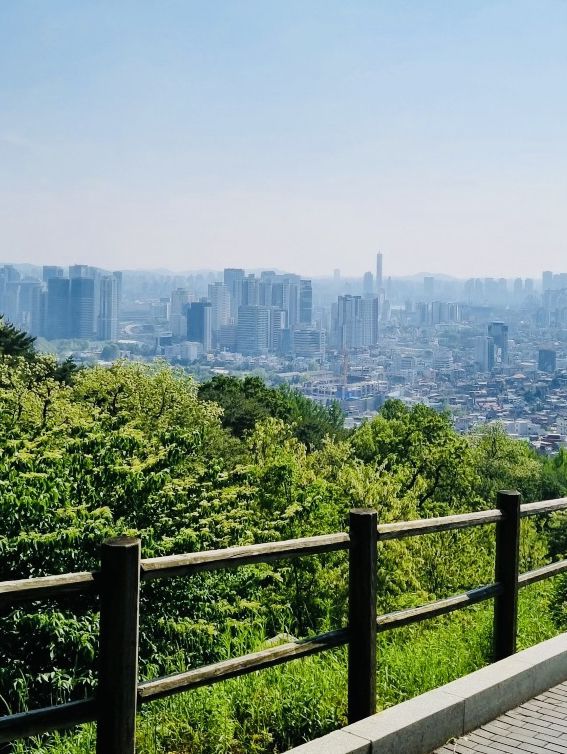 N Seoul Tower: An Iconic Seoul Experience