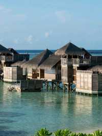 🌴 Gili Lankanfushi Maldives – Barefoot Bliss in Paradise