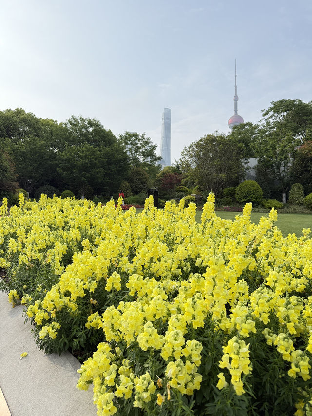 North Bund – มุมสงบของเซี่ยงไฮ้ 🌷🌻🌺