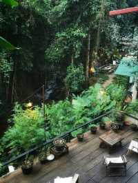 เที่ยวหน้าฝนในป่าเขียว สดชื่นจับใจ