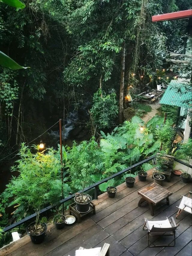 เที่ยวหน้าฝนในป่าเขียว สดชื่นจับใจ