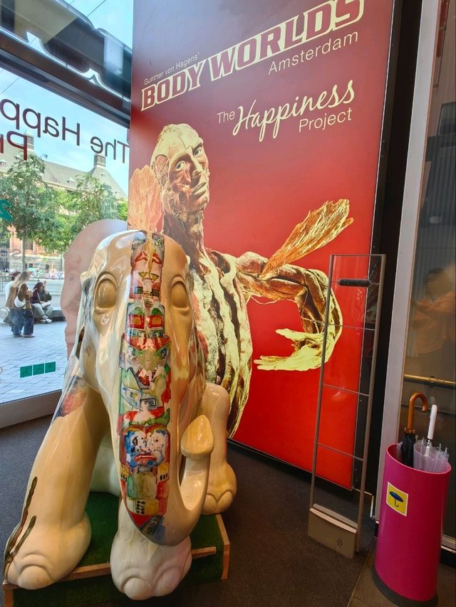 慶祝阿姆斯特丹建城750 週年的Elephant Parade