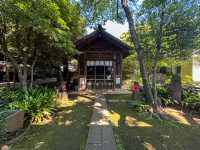 【東京都】 緑豊かな樹々に覆われた交通安全のご利益ある神社『鹿嶋神社』⛩️