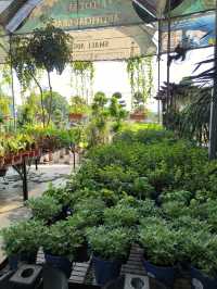 Budget Escape: A Café Hidden Among Plants in Desaru