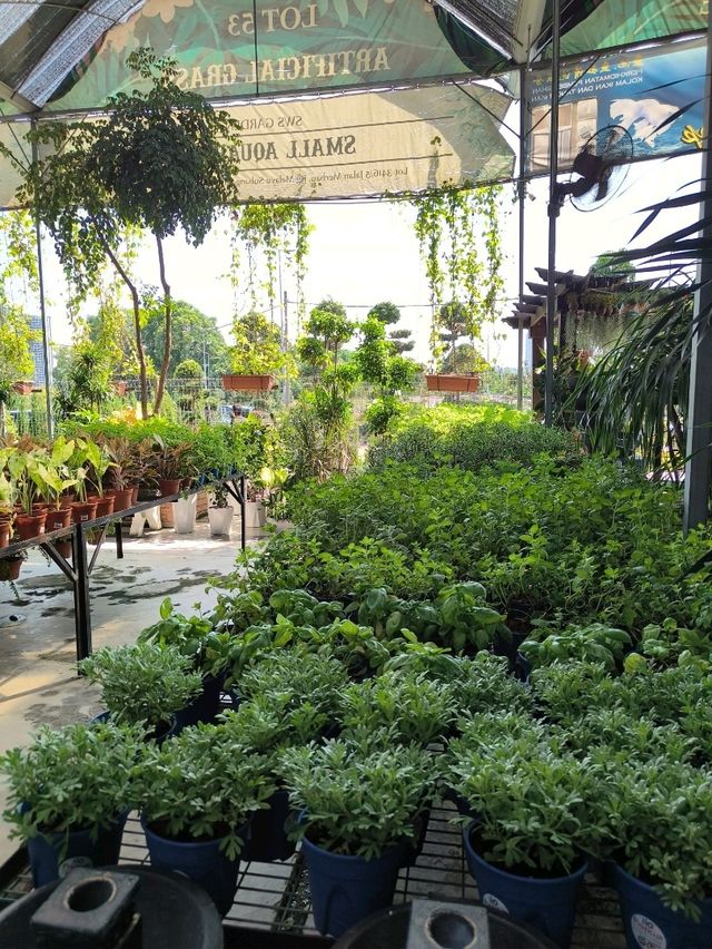 Budget Escape: A Café Hidden Among Plants in Desaru