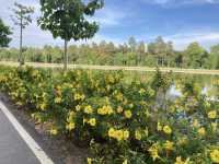 นั่งชมธรรมชาติสีเขียวที่สวนสาธารณะ “หนองเขียว“