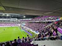 Enjoy the Passionate Atmosphere at a Kyoto Sanga match!