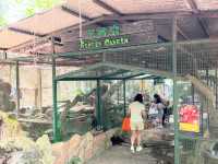 Farm In The City KL – A Fun and Hands-On Experience for the Whole Family
