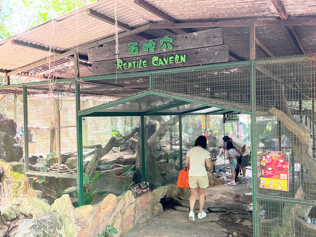 Farm In The City KL – A Fun and Hands-On Experience for the Whole Family