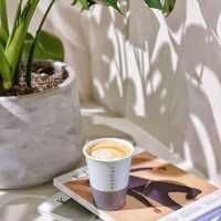 Habitat Coffee Singapore