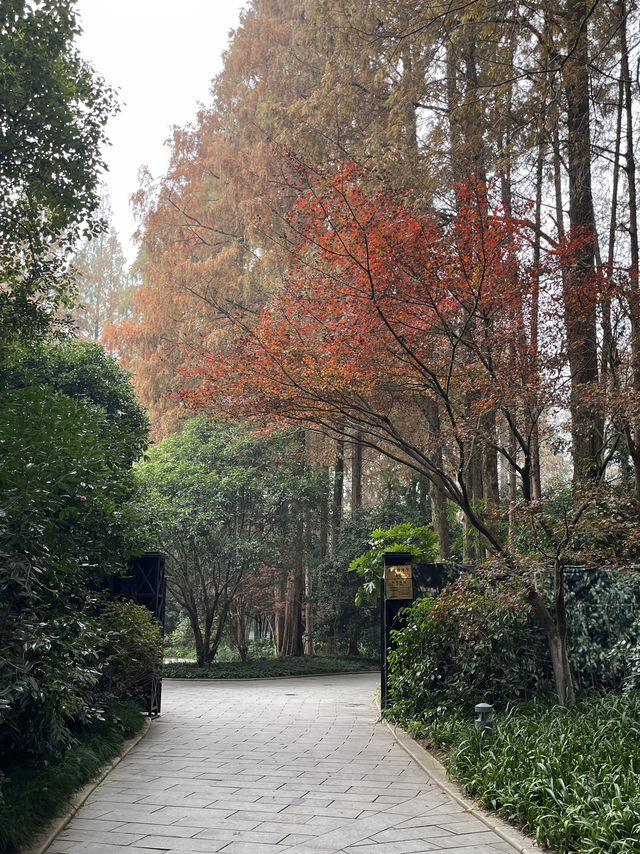สวนนกขมิ้น 🕊️🍃