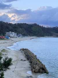 울진 오션뷰 숙소 온양리민박 🌊🏡