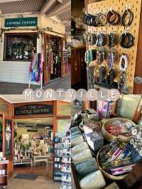 Sunshine Coast Escape: One-Day Trip to Montville & Mooloolaba🌿🌅