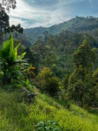 Hiking to Penang’s Hidden Glass House — With a Durian Surprise 