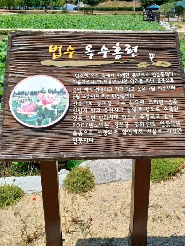 계절을 기다리는 시작점, 삶의 리듬을 채우는 공간