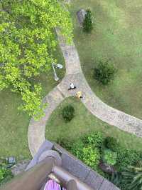 Where Sundays Bloom: A Morning at Taman Wetland Putrajaya