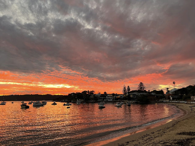 Watsons Bay: Sydney's Hidden Paradise 🇦🇺🏖️