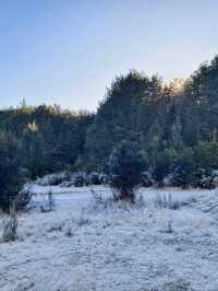 Tranquil Beauty of the Waiau River Walk