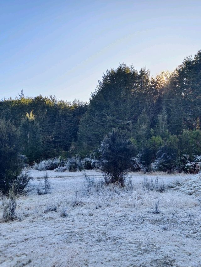 Tranquil Beauty of the Waiau River Walk