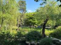 🌸 Lingering Garden 留园 — Grace, Balance & Jiangnan Beauty