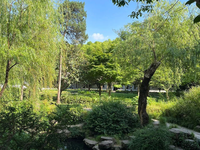 🌸 Lingering Garden 留园 — Grace, Balance & Jiangnan Beauty