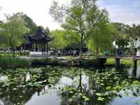🌿 Humble Administrator’s Garden 拙政园 — A Classical Suzhou Gem