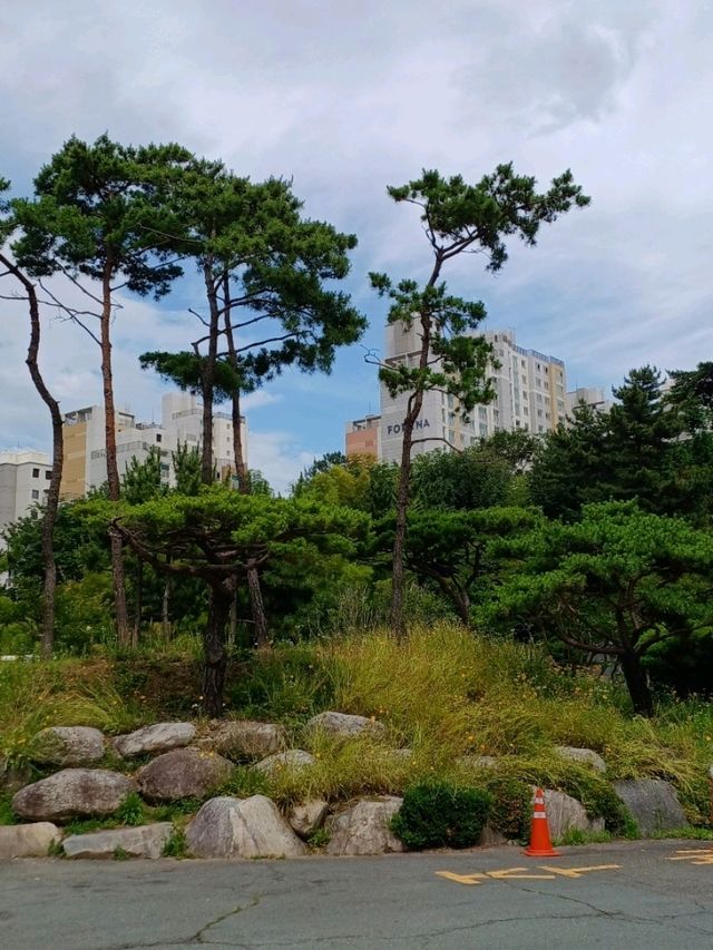 친구와 마주 앉아 나눈 잔잔한 속마음