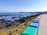 映えだらけ、韓国のハワイ、チェジュ島
