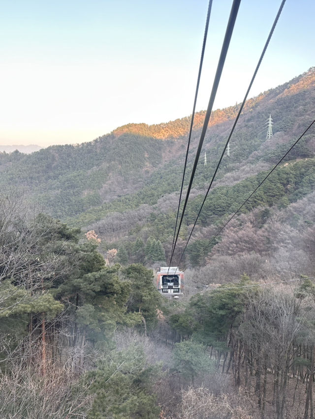 【城市中的空中綠洲🌿】搭纜車上山看夜景！大邱前山公園讓人戀愛的視角❤️