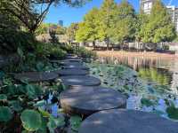 Spectacle Garden: A Colorful Escape in Brisbane