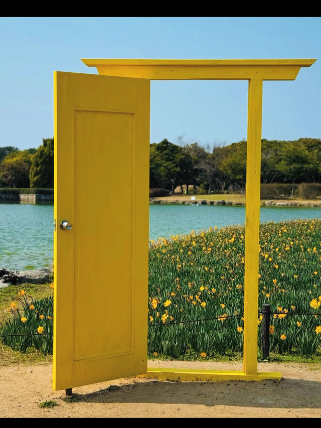 【自然と遊ぶ一日🌼】海の中道海浜公園でアクティブ＆癒しの休日を 