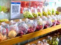 🌿 “สวนพูลวันวาน” ตลาดสายชิล | Ola Market 