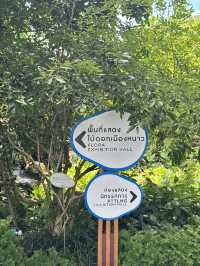 อาคารนิทัศน์พันธุ์พฤกษา จังหวัดระยอง ✨