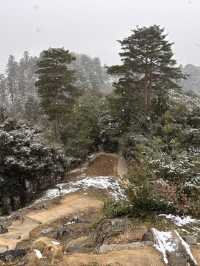 津和野城跡（需搭纜車）