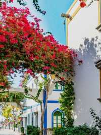 🇮🇨 Canary Islands｜The “Islands of Happiness” You’ll Fall for Again and Again 🌋