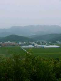 Deokbongsan Coastal Trail Walk 