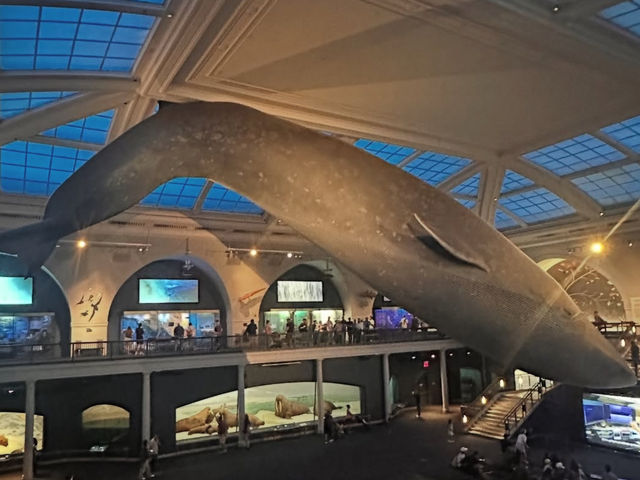 🏺【カナダの物語に触れる旅！歴史博物館で時空を超える体験】