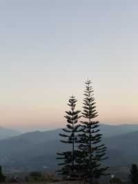 🌲✨ สวนป่าแม่แจ่ม – เชียงใหม่